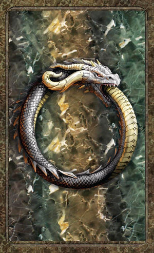 World Dragon Oracle by Virginia Chandler & Anne Stokes