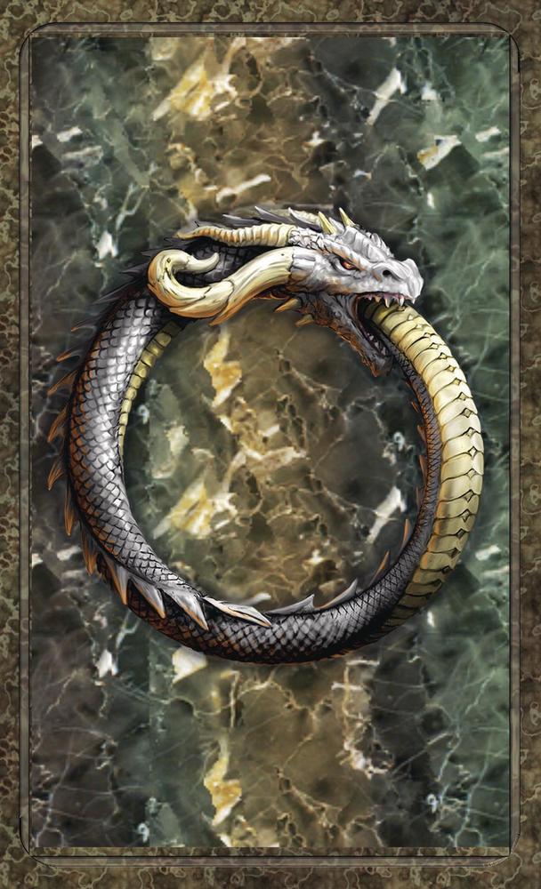 World Dragon Oracle by Virginia Chandler & Anne Stokes