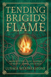 Plant Magic by Sandra Kynes