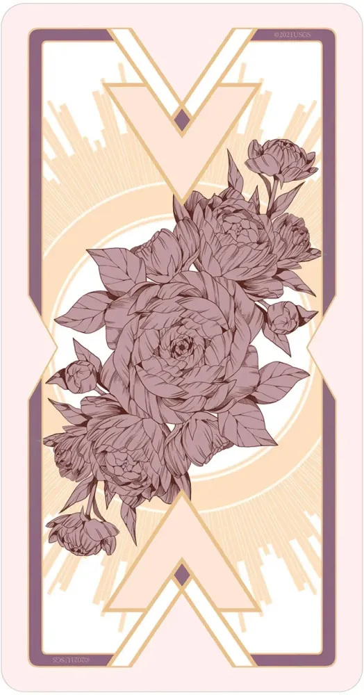 Heavenly Bloom Tarot Deck by Noa Ikeda