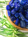 Tumbled Lapis Lazuli for Enlightenment & Dreaming