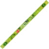 HEM Incense Sticks Square Pack (8 Sticks) - Various Fragrances