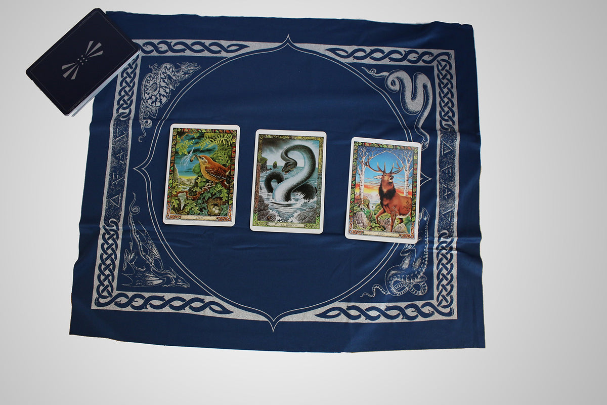 Druid Animal Oracle by Philip Carr-Gomm & Stephanie Carr-Gomm & Bill Worthington