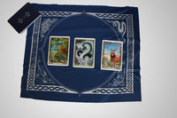 Druid Animal Oracle by Philip Carr-Gomm & Stephanie Carr-Gomm & Bill Worthington