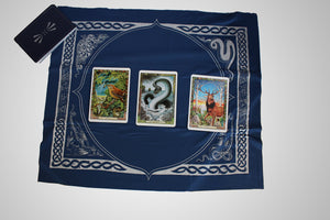 Druid Animal Oracle by Philip Carr-Gomm & Stephanie Carr-Gomm & Bill Worthington