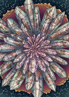 Illustrated Crystallary Garden Quartz PUZZLE by Maia Toll