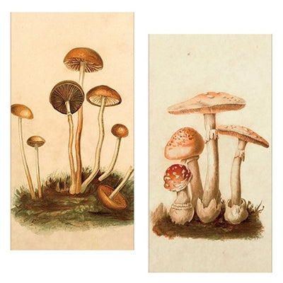 Vintage-Look Mushroom Matchboxes - Large