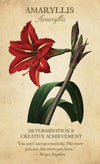 Botanical Inspirations Deck by Lynn Araujo