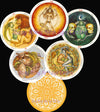 Circle of Life Tarot by Maria Distefano