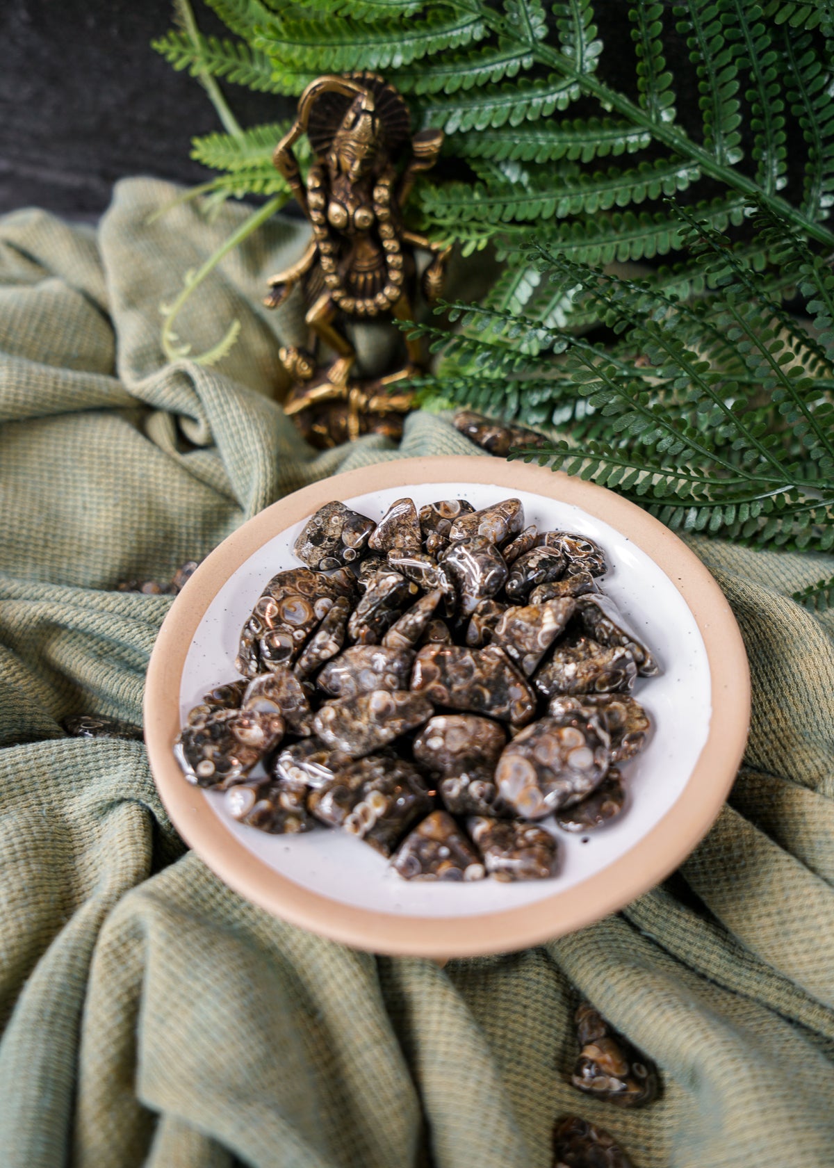 Tumbled Turritella Agate for Inner Guidance