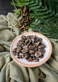 Tumbled Turritella Agate for Inner Guidance