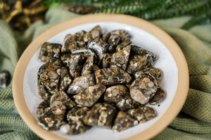 Tumbled Turritella Agate for Inner Guidance