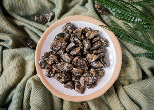 Tumbled Turritella Agate for Inner Guidance