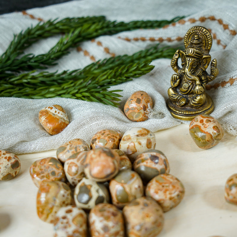 Tumbled Leopardite for Animal Communication