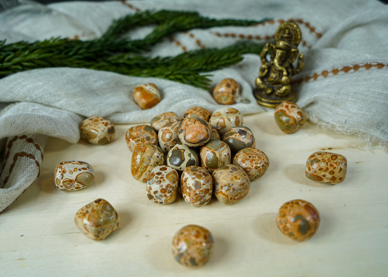 Tumbled Leopardite for Animal Communication
