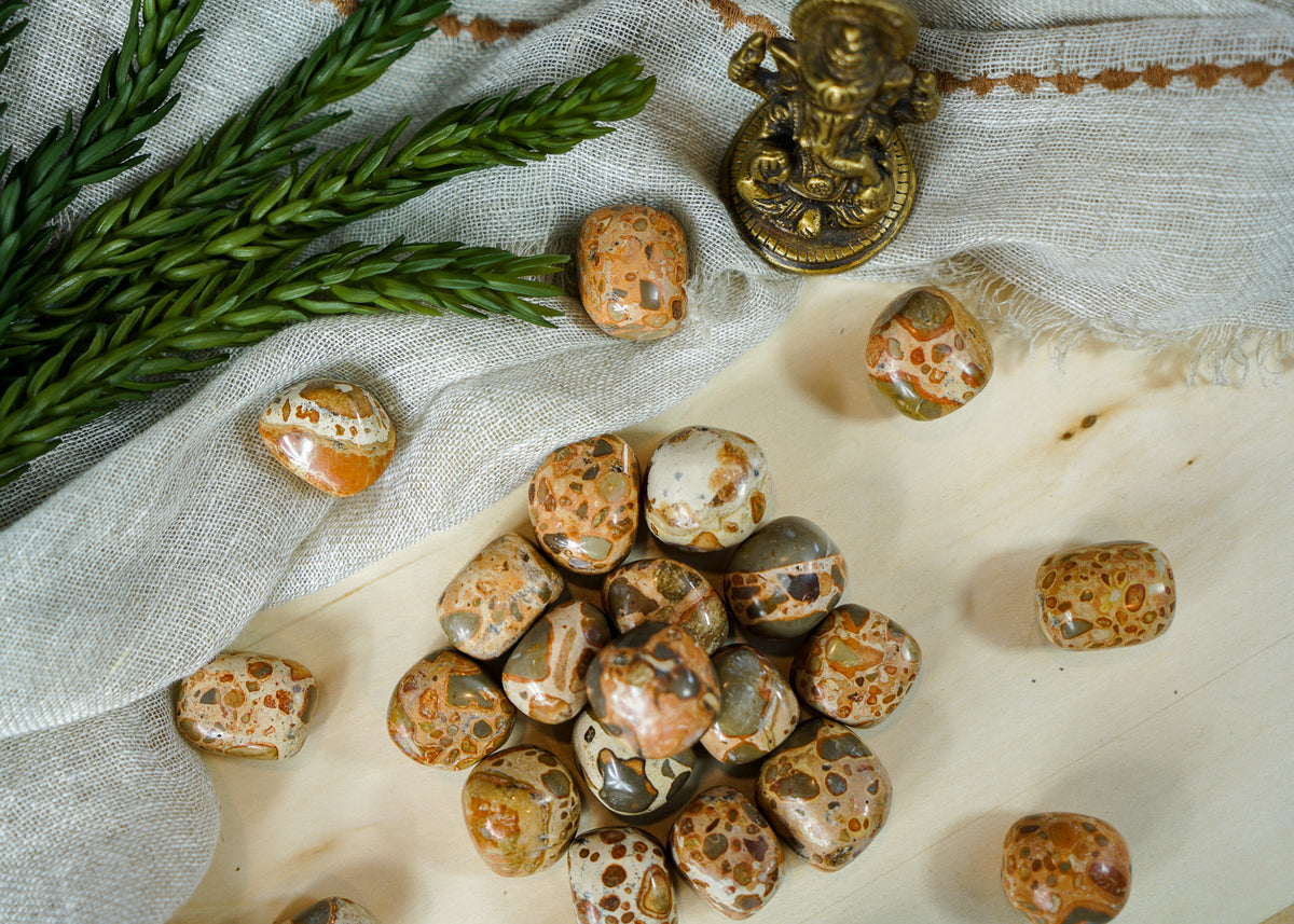 Tumbled Leopardite for Animal Communication