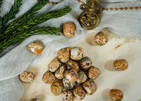 Tumbled Leopardite for Animal Communication