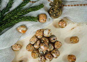 Tumbled Leopardite for Animal Communication