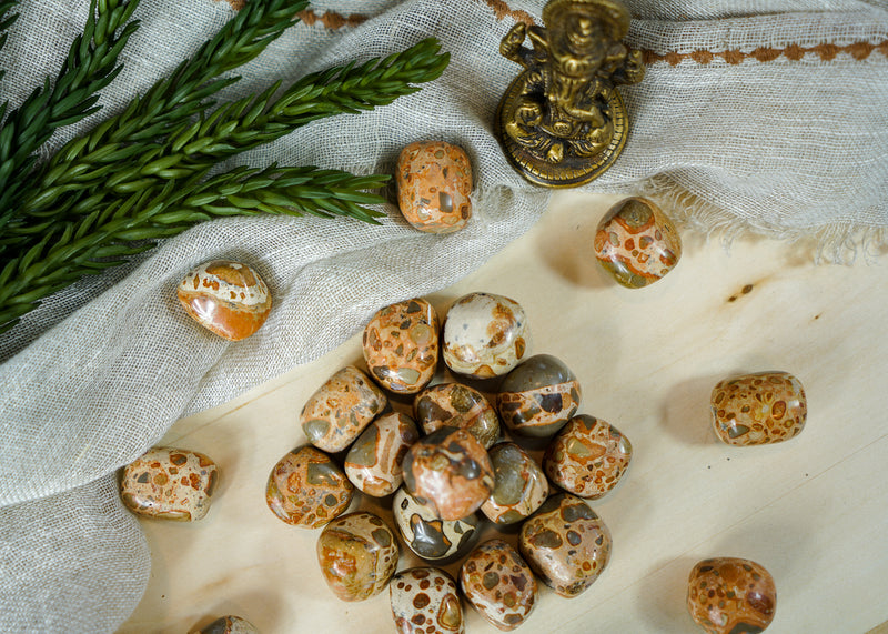 Tumbled Leopardite for Animal Communication