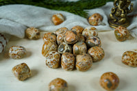 Tumbled Leopardite for Animal Communication