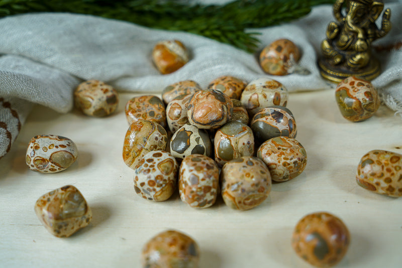 Tumbled Leopardite for Animal Communication