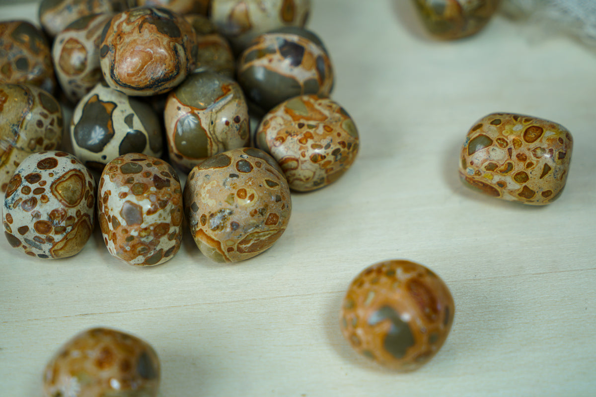 Tumbled Leopardite for Animal Communication