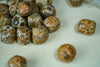 Tumbled Leopardite for Animal Communication