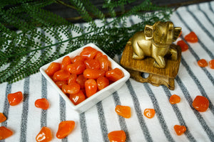 Tumbled Carnelian for Creativity & Energy