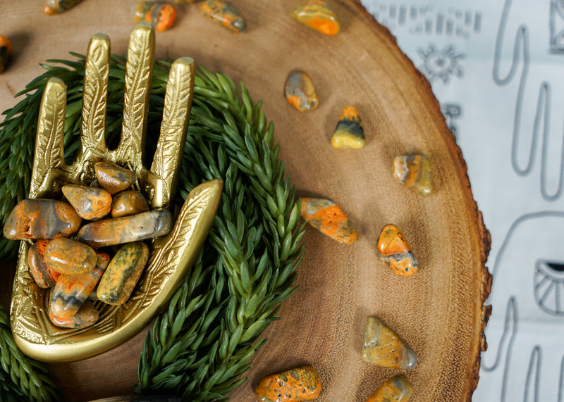Tumbled Bumblebee Jasper for Happiness & Celebration