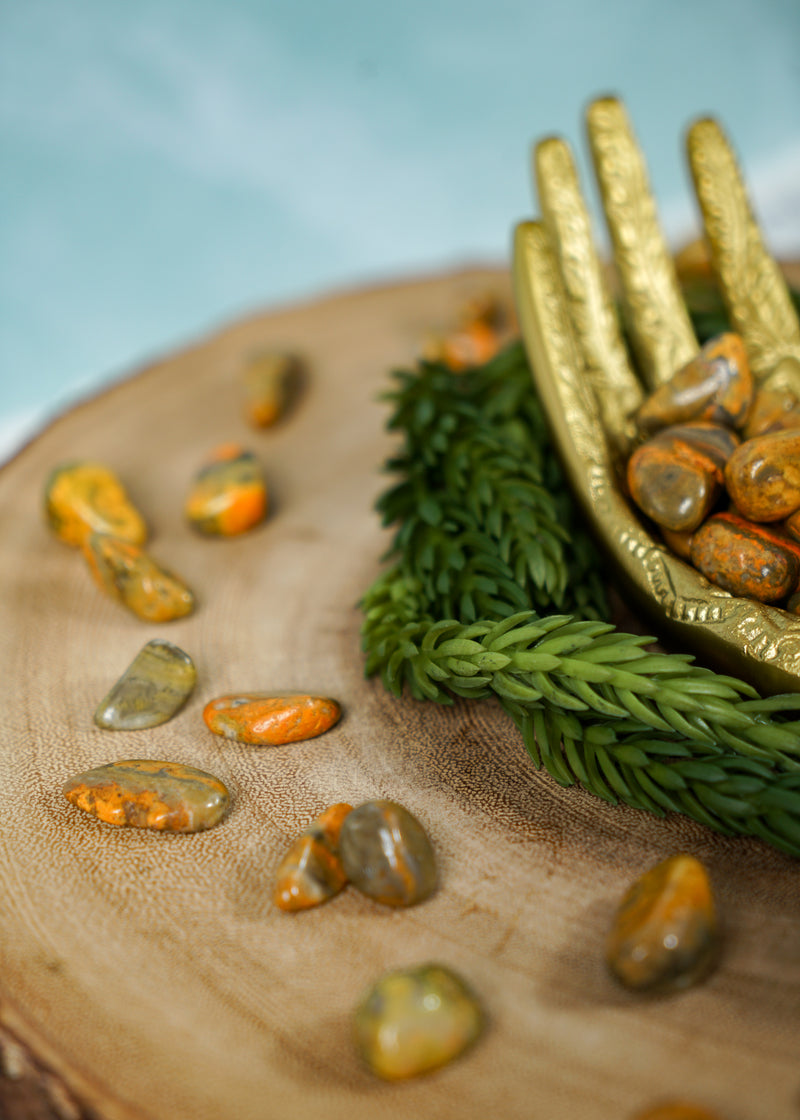 Tumbled Bumblebee Jasper for Happiness & Celebration
