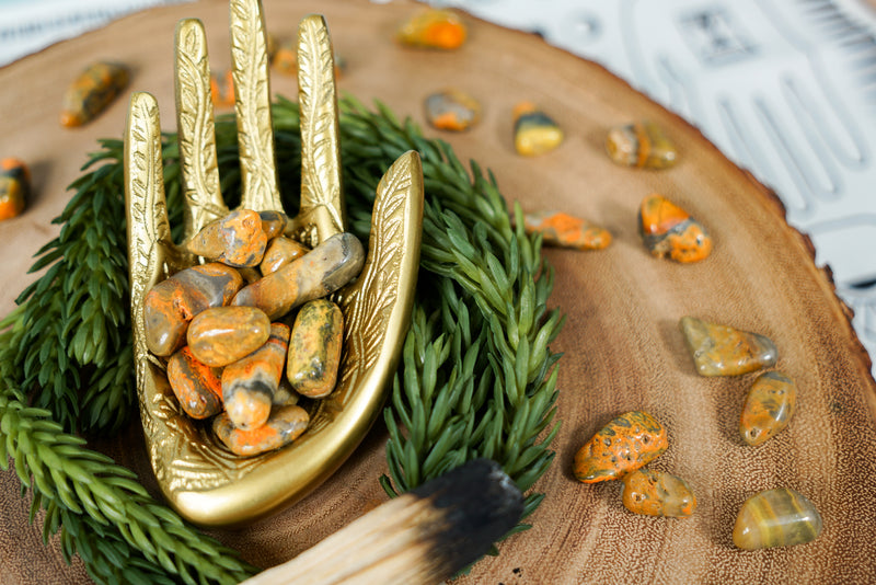 Tumbled Bumblebee Jasper for Happiness & Celebration