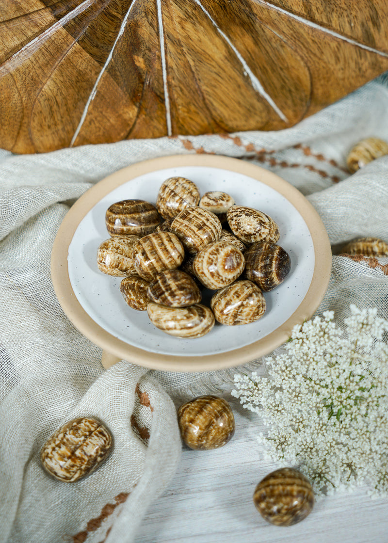 Tumbled Brown Aragonite for Multi-Tasking