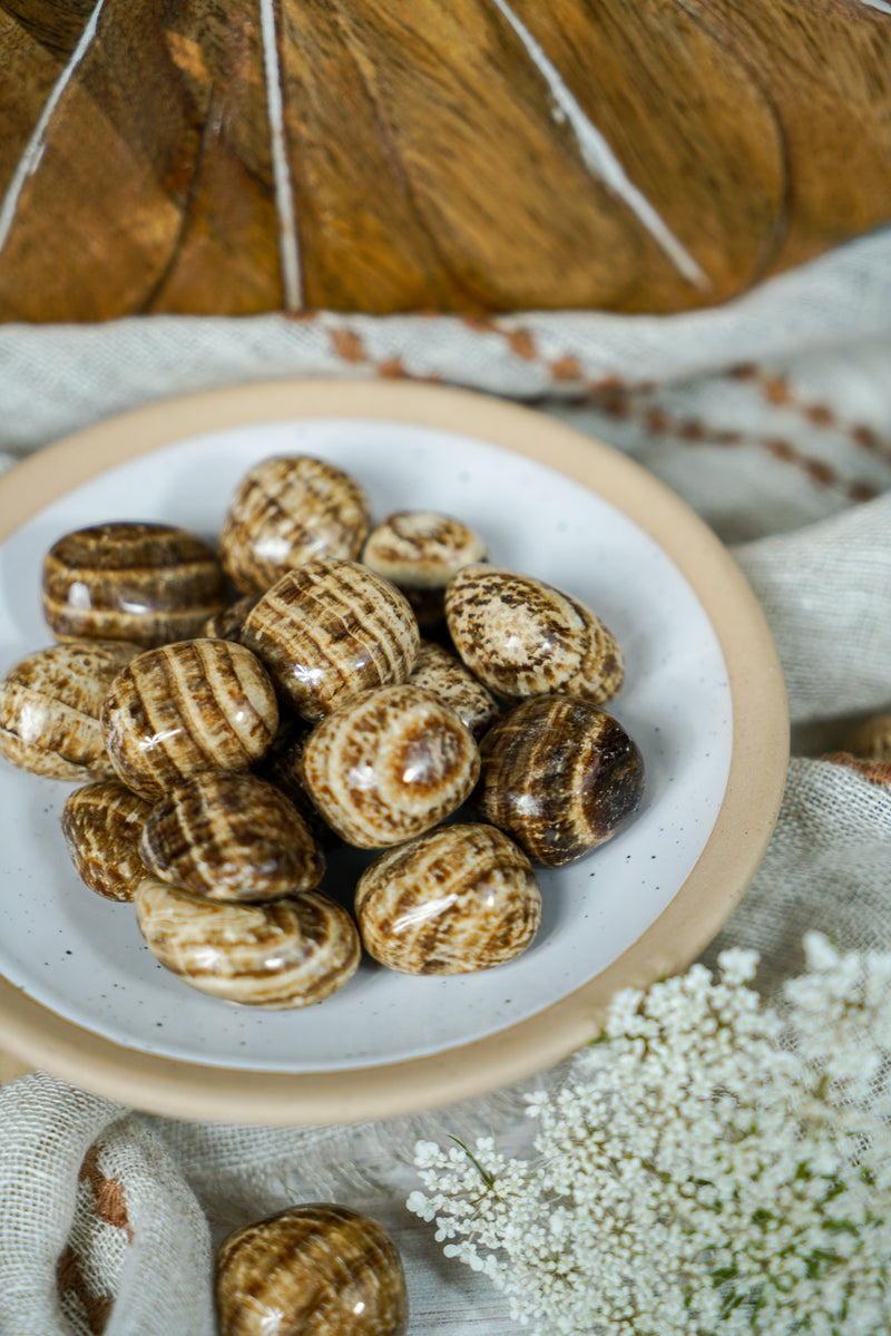 Tumbled Brown Aragonite for Multi-Tasking