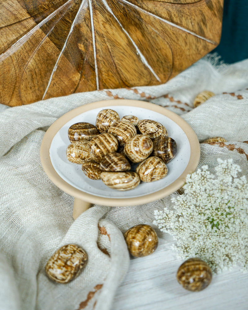 Tumbled Brown Aragonite for Multi-Tasking