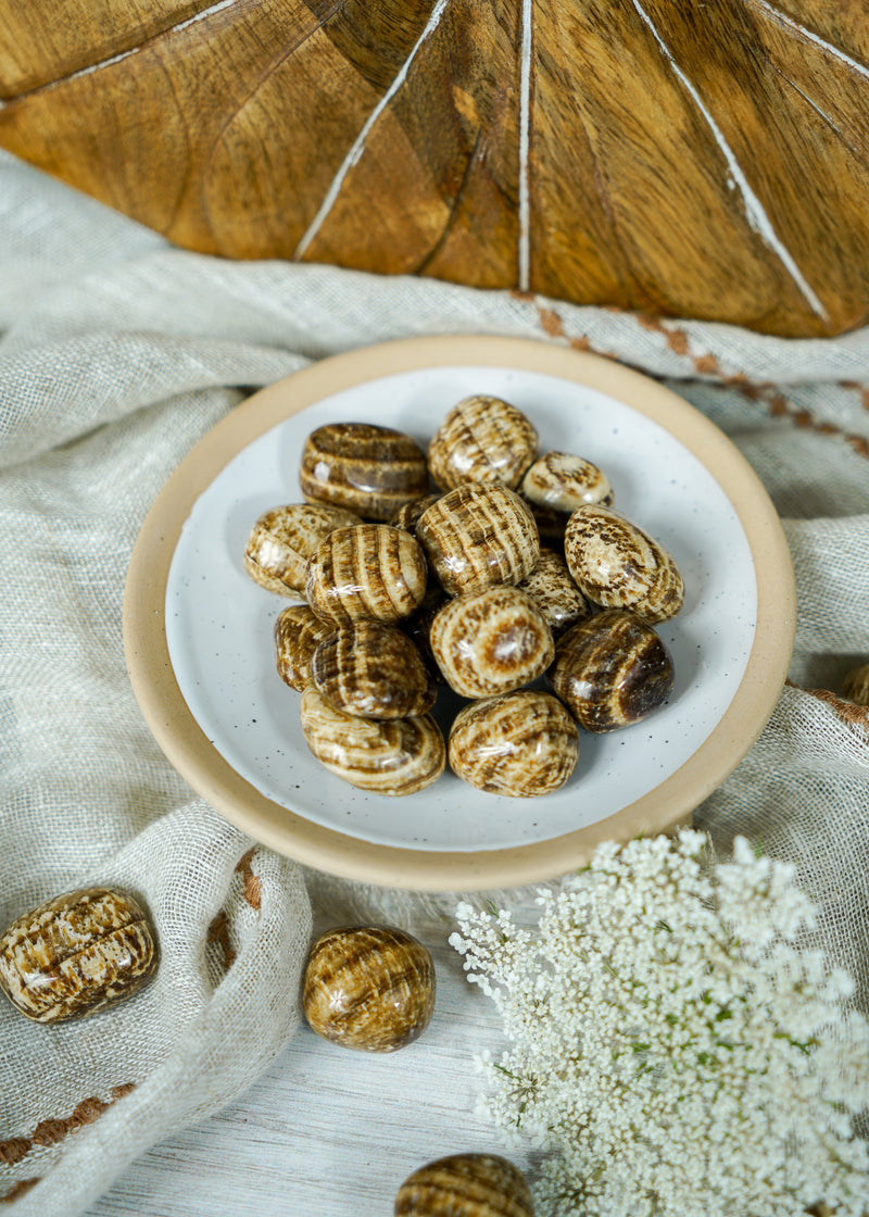 Tumbled Brown Aragonite for Multi-Tasking