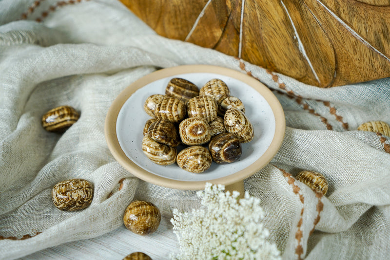 Tumbled Brown Aragonite for Multi-Tasking