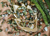 Tumbled Rainforest Jasper for Love & Earth Connection