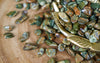 Tumbled Rainforest Jasper for Love & Earth Connection