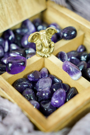 Tumbled Dark Amethyst for Spirituality & Dreams