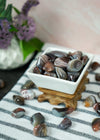 Tumbled Brown Botswana Agate for Healthy Body Image