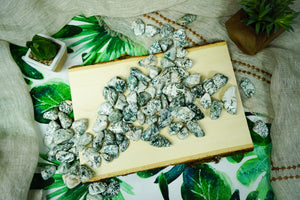 Tumbled Tree Agate for Grounding & Nature