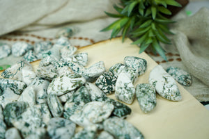 Tumbled Tree Agate for Grounding & Nature