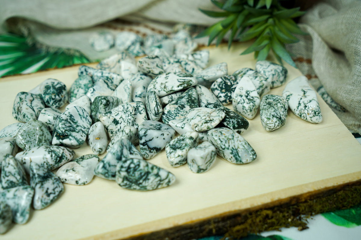 Tumbled Tree Agate for Grounding & Nature