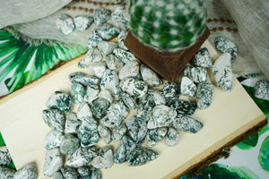 Tumbled Tree Agate for Grounding & Nature