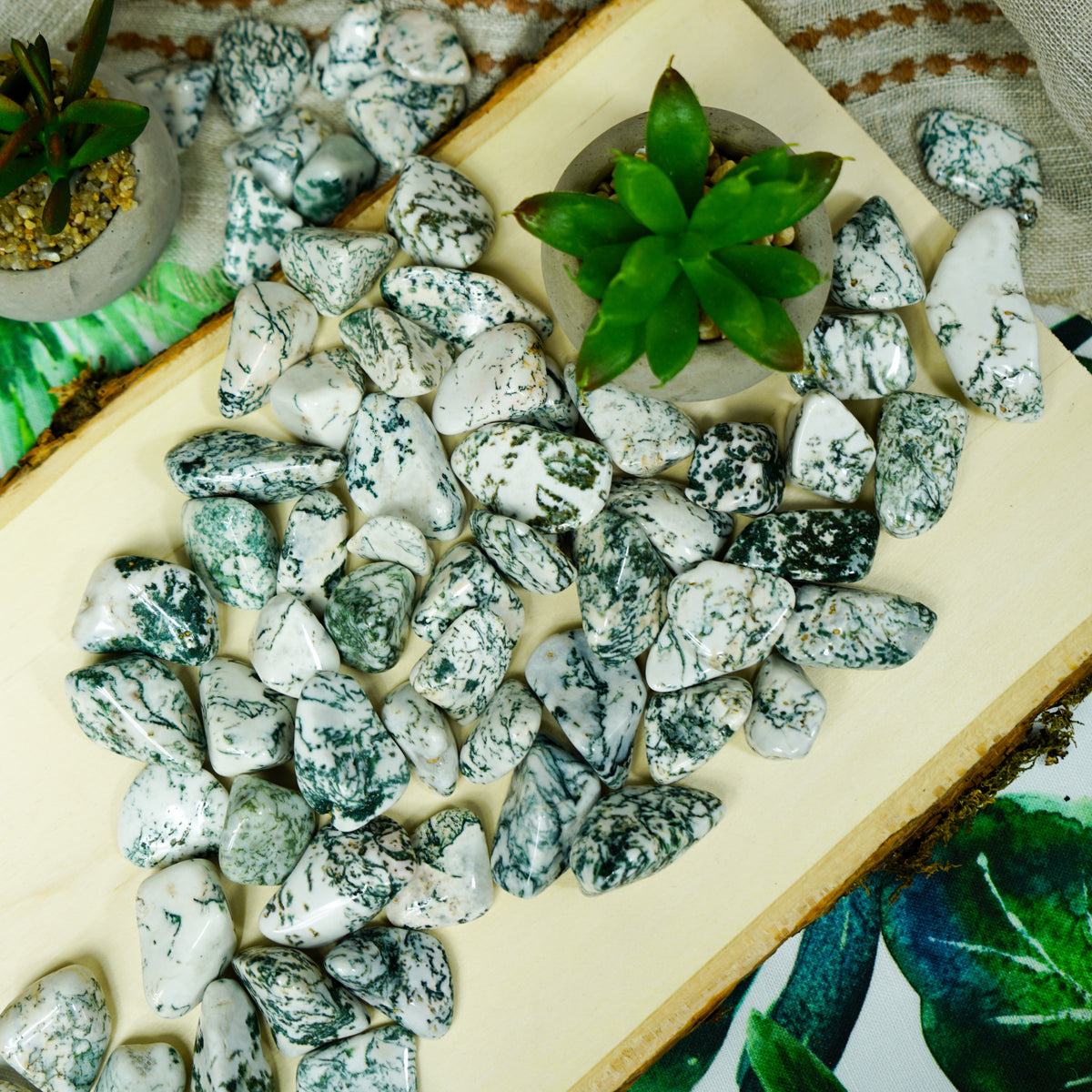 Tumbled Tree Agate for Grounding & Nature