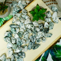 Tumbled Tree Agate for Grounding & Nature