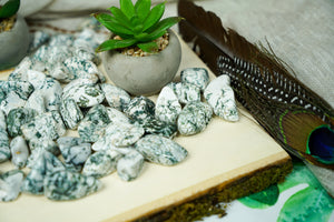 Tumbled Tree Agate for Grounding & Nature