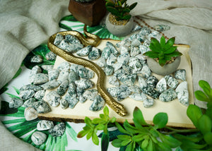 Tumbled Tree Agate for Grounding & Nature