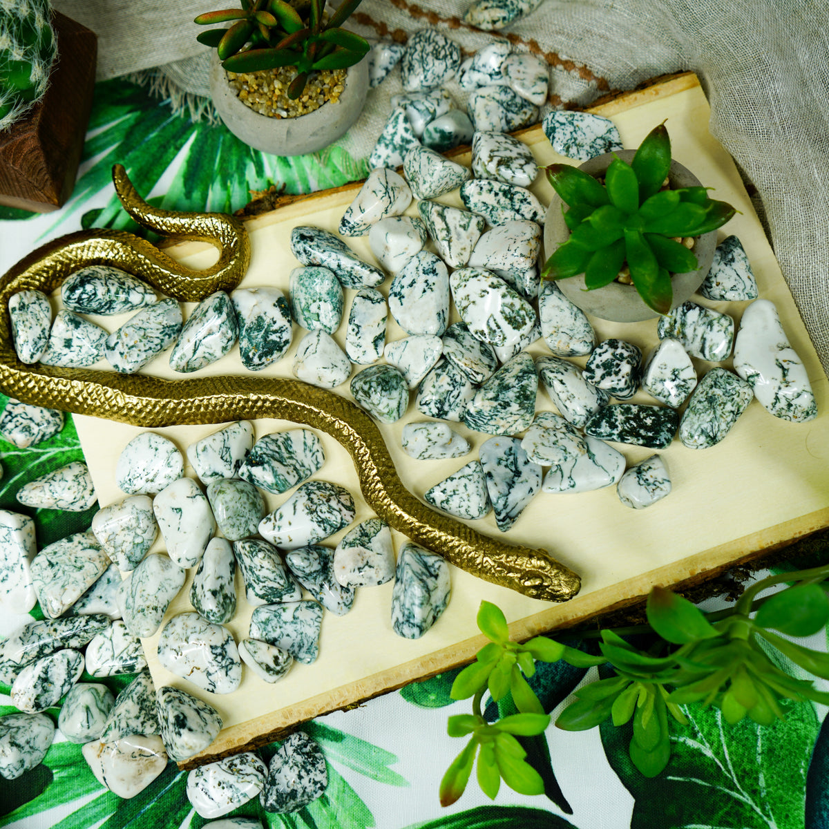 Tumbled Tree Agate for Grounding & Nature