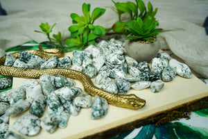 Tumbled Tree Agate for Grounding & Nature